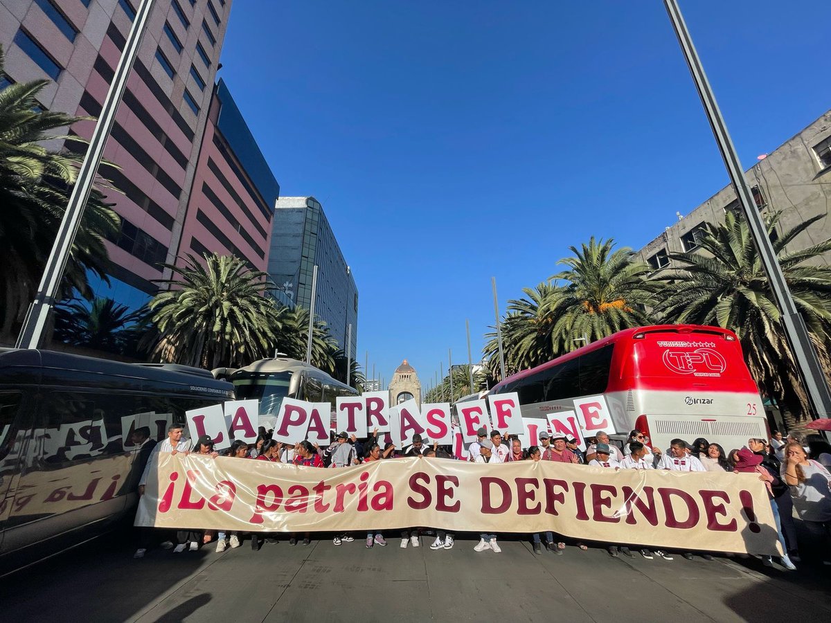 Katia Meave Ferniza tweet media