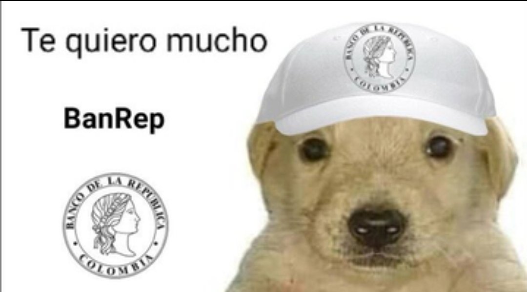 FelipeCamposPC's tweet image. Inflación subiendo por cuarto mes seguido, por encima del 5%. Peajes y gas al alza, salario mínimo +4% real. Déficit fiscal en niveles de pandemia y la inflación cinco años por encima de la meta. Quien creía que el BanRep se equivocó bajando tasas despacio, que le piquen caña.