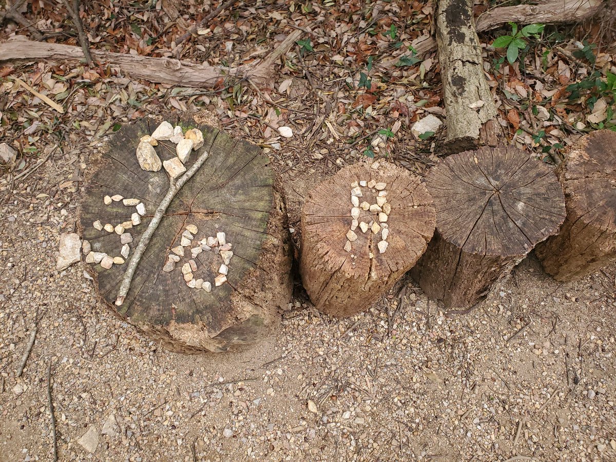 GC27_AUTECH's tweet image. 梅田親水公園→神石山往復⛰️
#ハイキング
#湖西連峰ハイキングコース