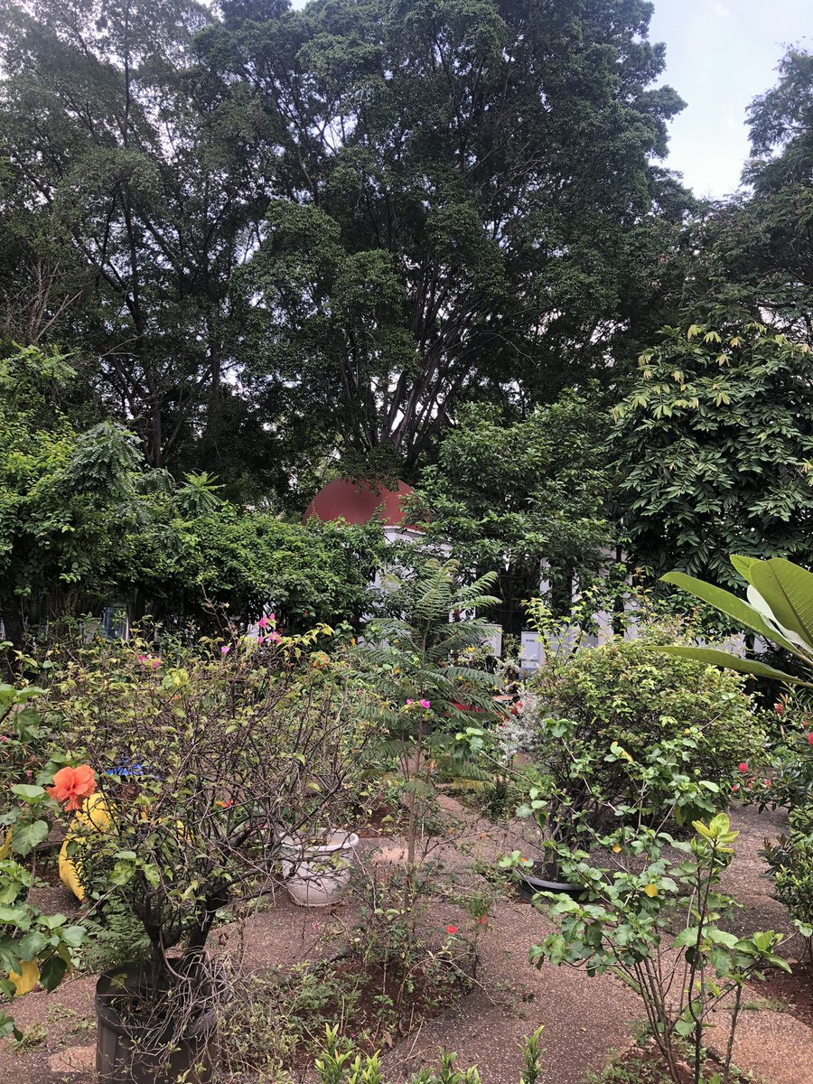 kia. ₊˚.⁺₊ ✧ tweet media