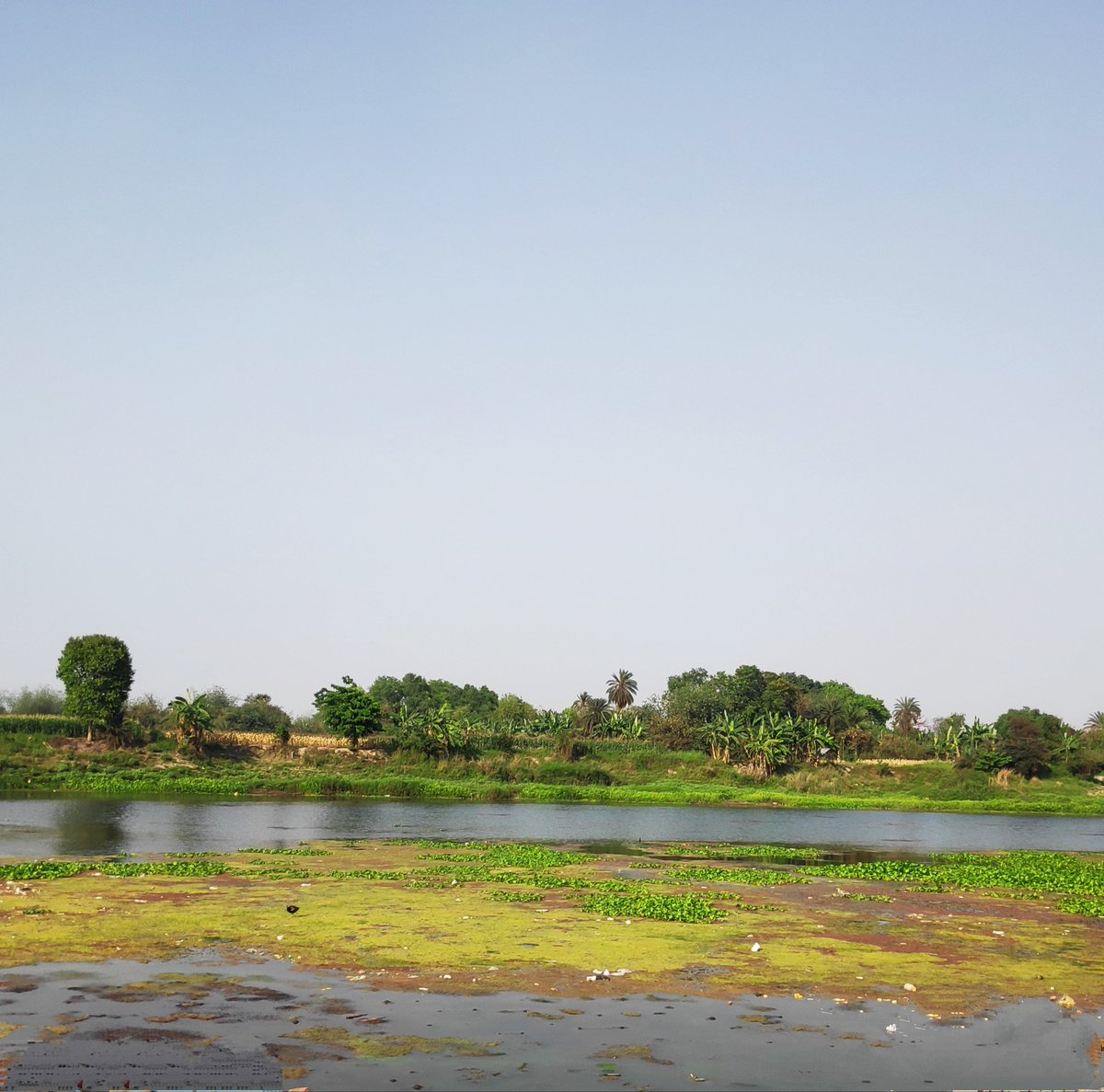 Jalangi ( জলঙ্গী নদী) 
The time of the year when the river is almost dry.