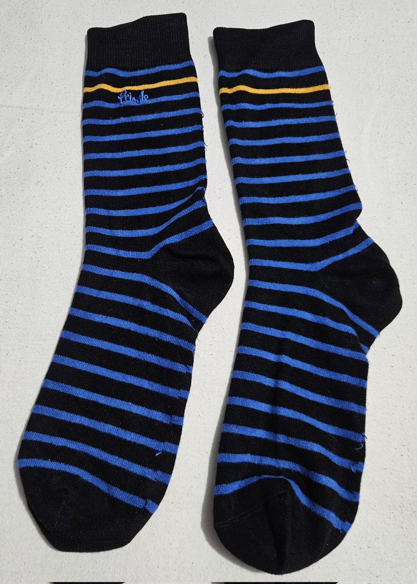 TodaySocks's tweet photo. Rich and thick, todays #Socks https://t.co/RSH4eCR0sA