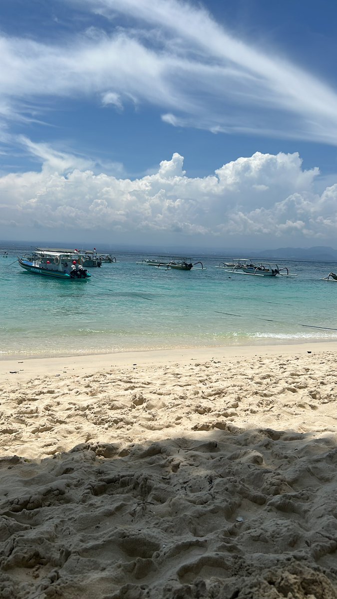 Daan Kroon | Email/SMS + CRO tweet media