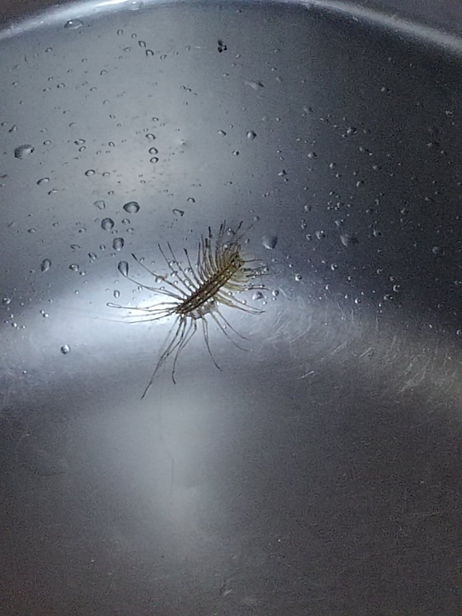 Eugenios 🇬🇷🇺🇦 tweet media