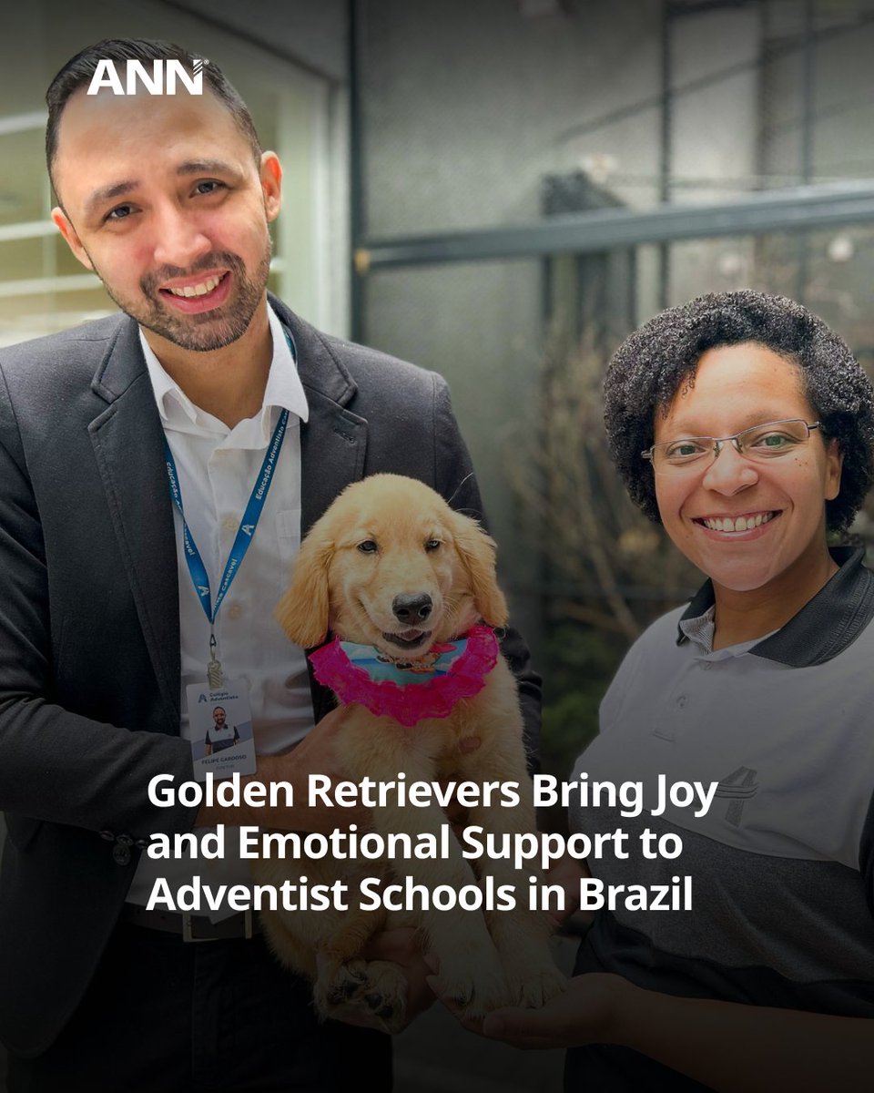 Adventist News (@adventistnews) on Twitter photo Golden Retrievers are bringing joy and emotional support to students in Adventist schools across Brazil. These therapy dogs assist in reducing stress and enhancing the overall well-being of the school communities. <a href="/iasd/">Adventistas Brasil</a> #AdventistNews
Read more: adventist.news/news/golden-re… Golden Retrievers are bringing joy and emotional support to students in Adventist schools across Brazil. These therapy dogs assist in reducing stress and enhancing the overall well-being of the school communities. <a href="/iasd/">Adventistas Brasil</a> #AdventistNews
Read more: adventist.news/news/golden-re…