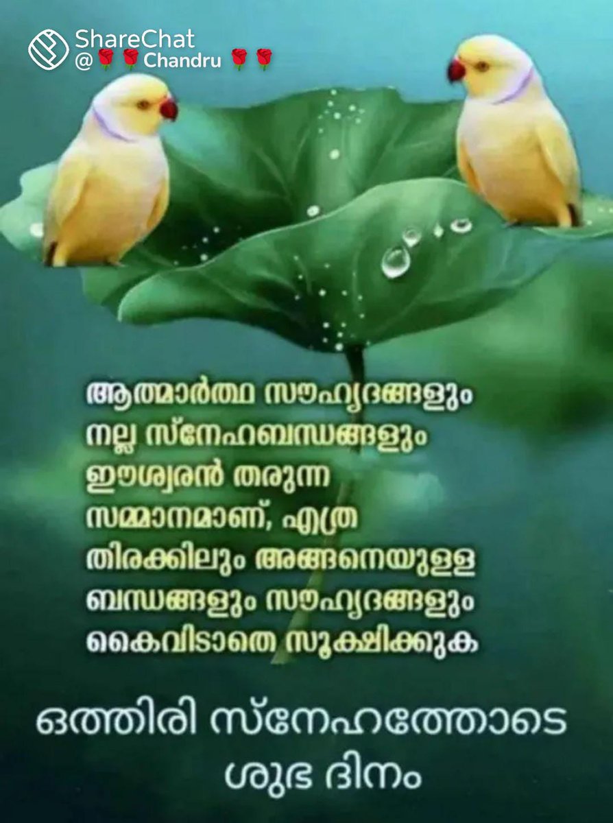 Good morning 🌄🌄🌄