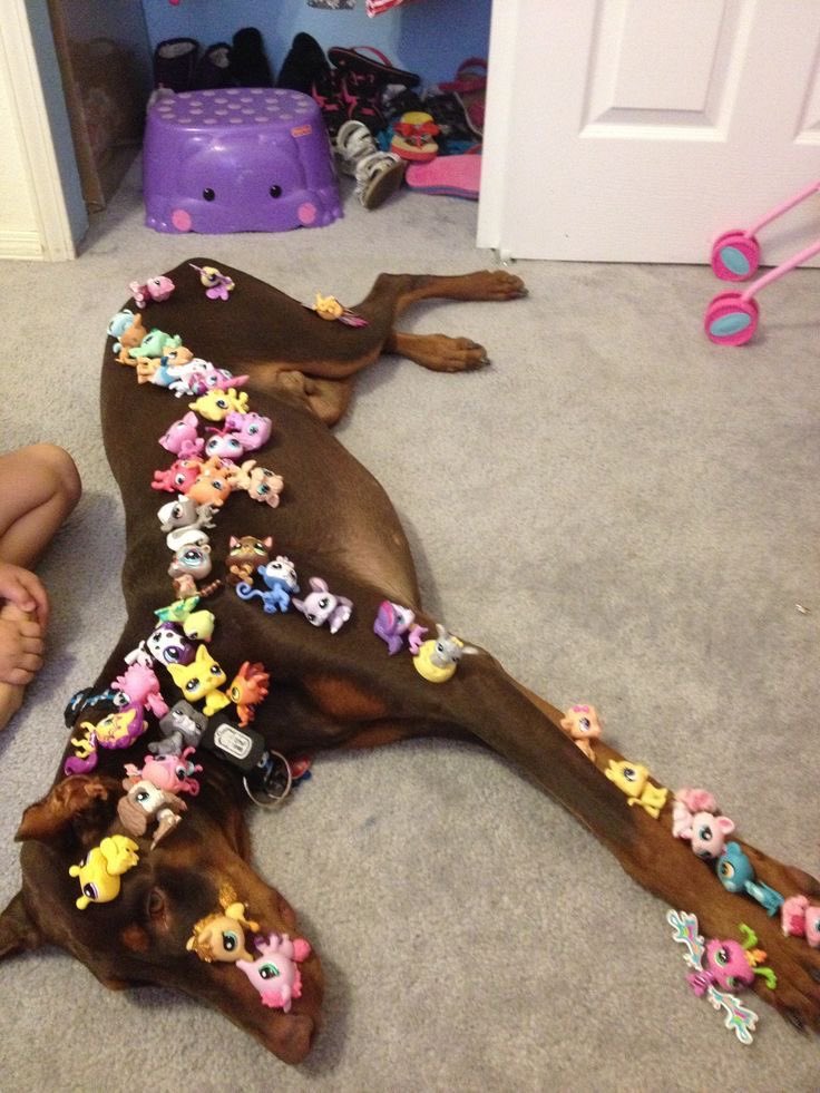 twaniimals's tweet image. 