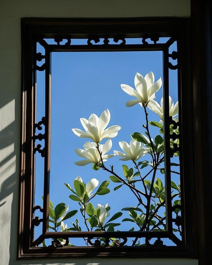 秋灵（互Fo） tweet media