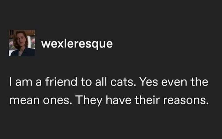 WholesomeMeme's tweet image. 