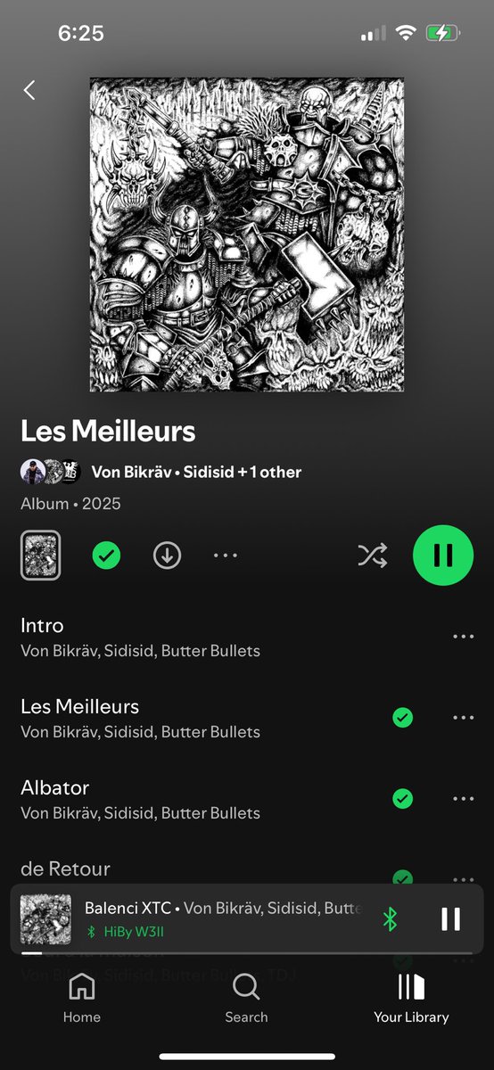 one of the coolest rap releases I’ve heard in a while

French Gabber hip hop where the Hardcore EDM production is constantly entertaining and intense and the rapping suits the production a lot better than I expect. It’s very hard to mix EDM and hip hop, love this