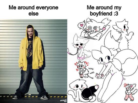 Comunidade Furry Femboy tweet media