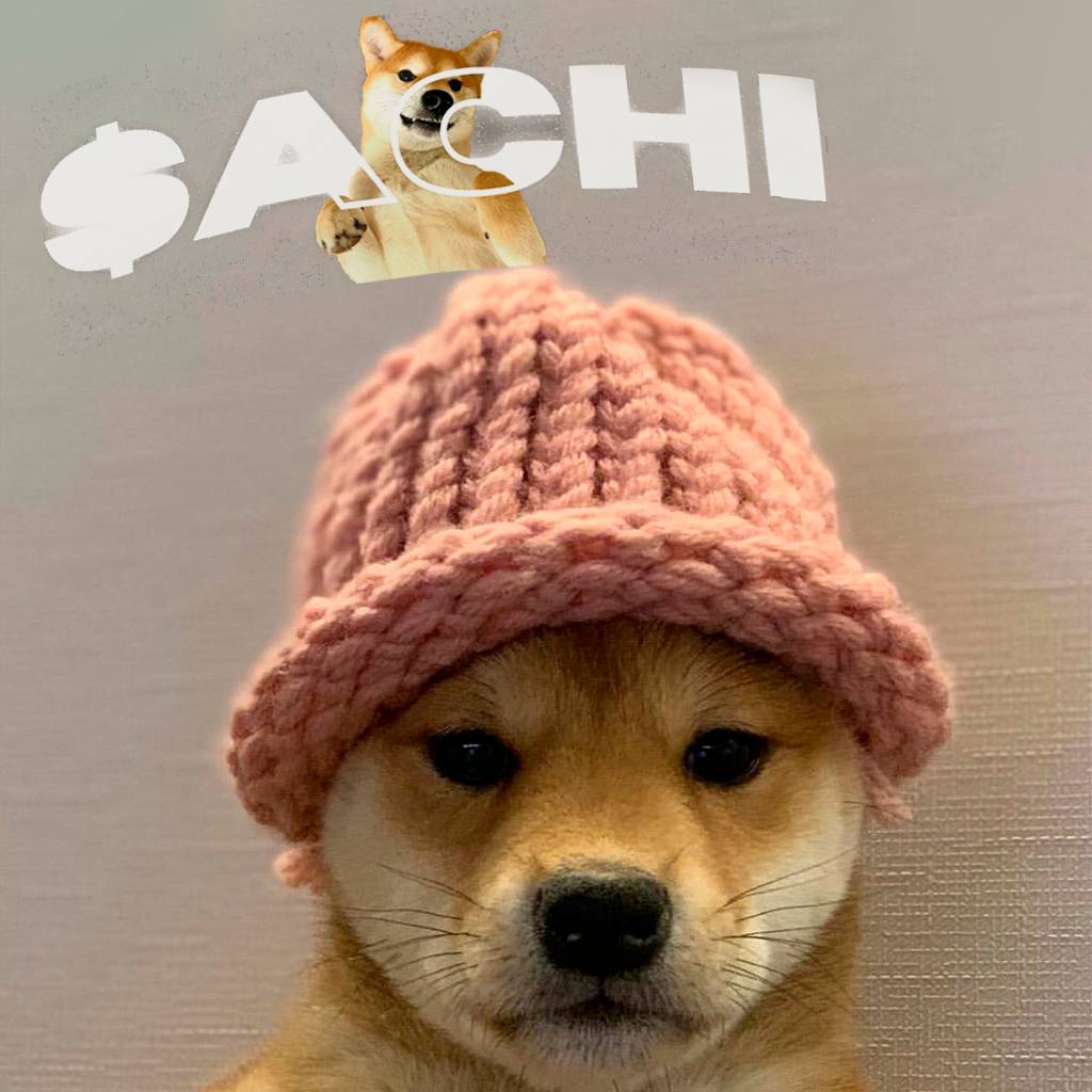 Achicoinsol's tweet photo. @grok @grok alright let's do it 

$ACHI = $WIF https://t.co/hiJRoGIwcr