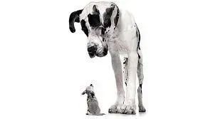 DTNEtiquette's tweet image. Intimidation only works when you give it the power over you...~ #DTN #Intimidators #BulliesBeware #Aggressiveness