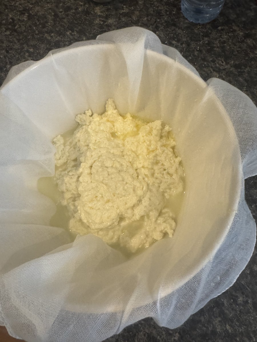 acemacg's tweet image. After getting the idea in my head on Friday I am making fully scratch made bagel bites. The cheese turned out awesome and the bagels are going to be perfect #KitsWhoCook @calmecam