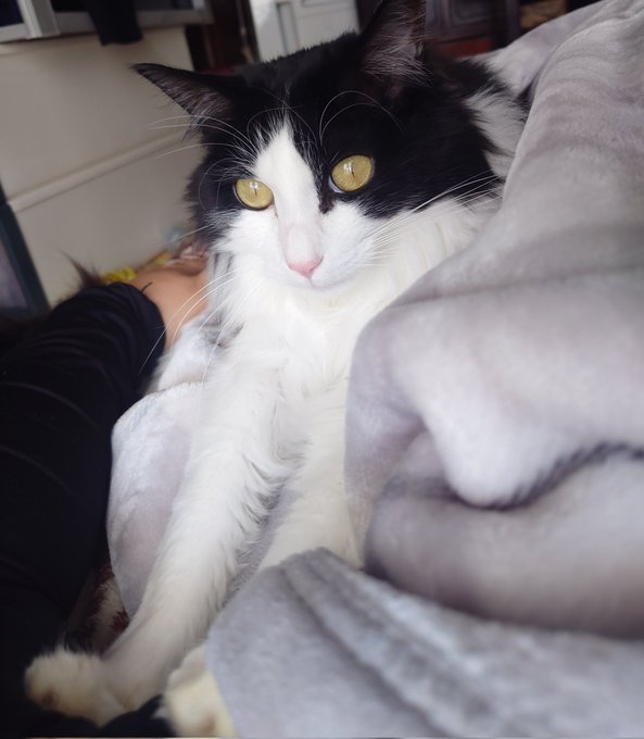 ふみふみ止まらない 