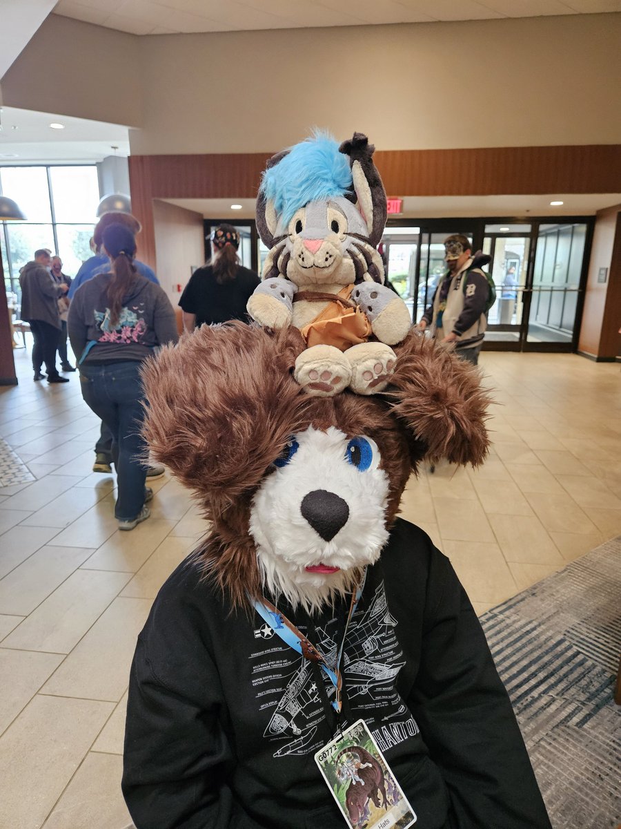 Hats the pups is at their new home finally. 🥹