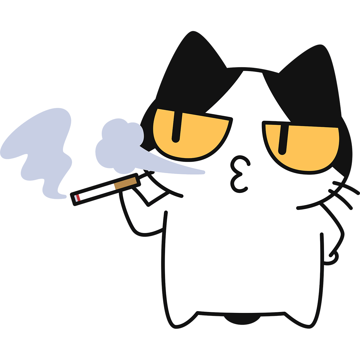 野良猫 tweet media