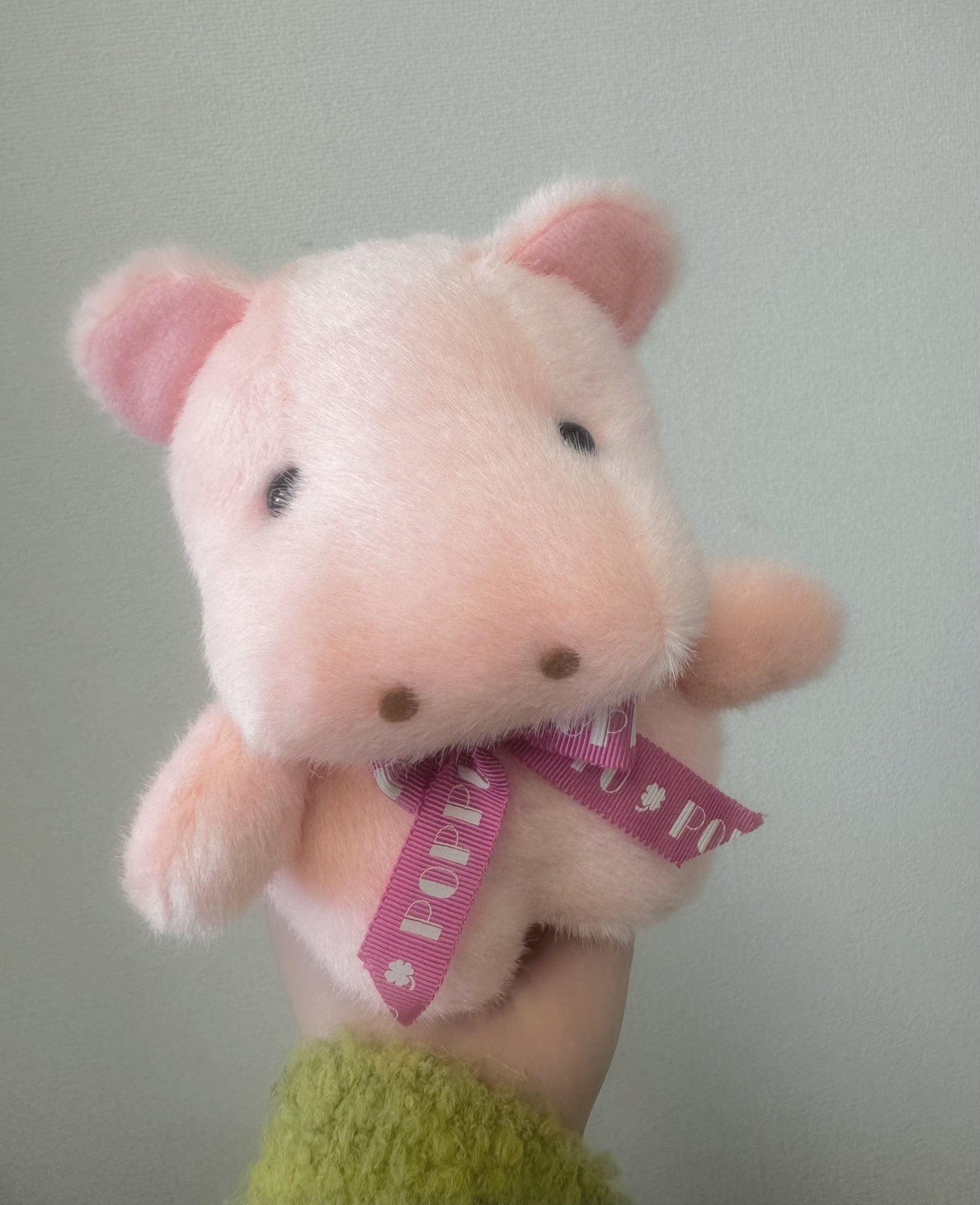 ポッポちゃん　ブタ　TAKENOKO ポッポちゃん(ﾐﾆ) ブタ | TAKENOKO gift shop