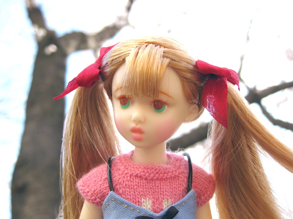 사진 찾다 발굴한 옛날 옛적 하나의 짱갈래 사진🌼