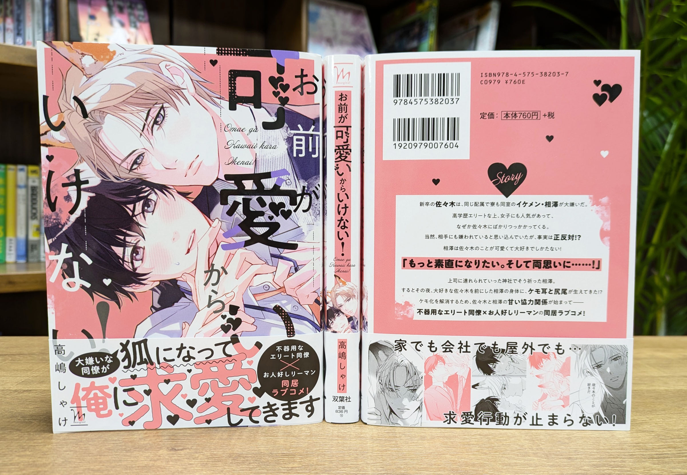 新しい季節 双葉社BL誌「comic marginal」「Chillche」 X / (@futabashaBL) 女性漫画