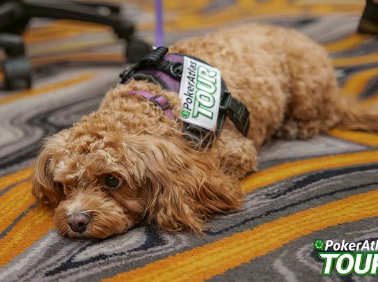 Jordan Handrich aka Illiterati tweet media