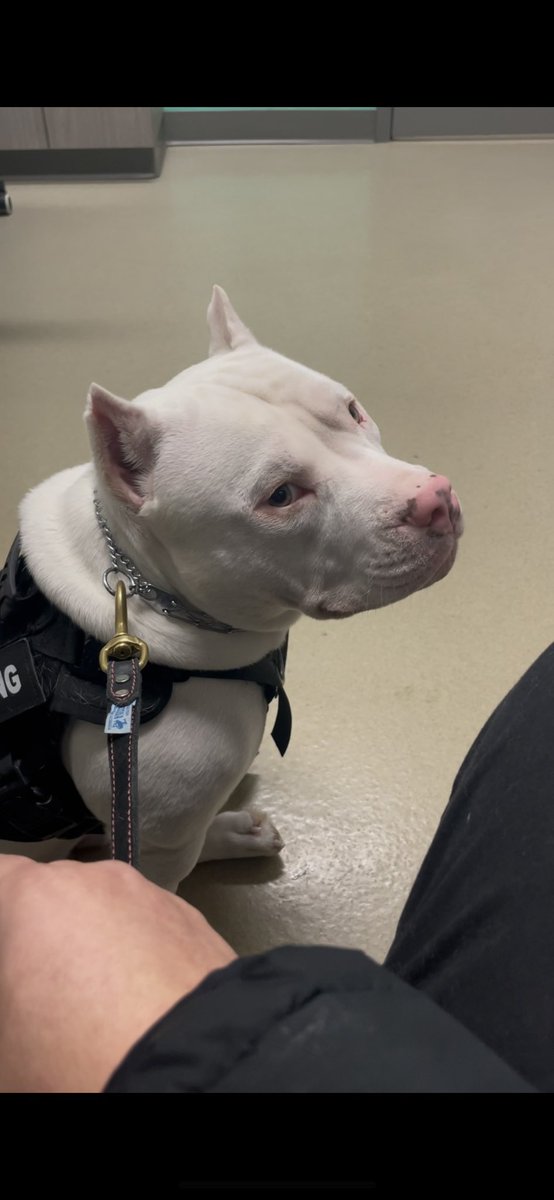 Quand tu entends des gens tenir des propos racistes, sexistes, homophobes, transphobes, rétrogrades, ou dire n’importe quoi Pro-Trump 😒