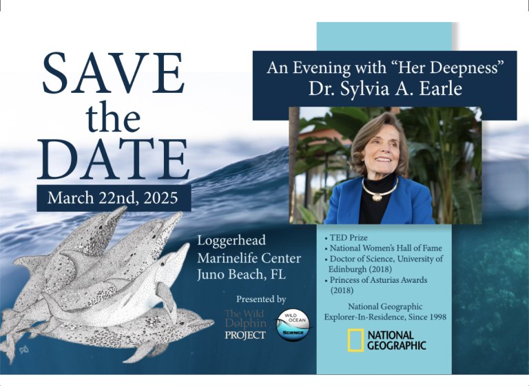 Do not miss your chance to see Her Deepness, Sylvia Earle, in person at our annual Wild Ocean Science event at Loggerhead Marinelife Center in Juno Beach, FL.  Be sure to get your tickets now!

More info 👇
wilddolphinproject.org/media/wos2025/