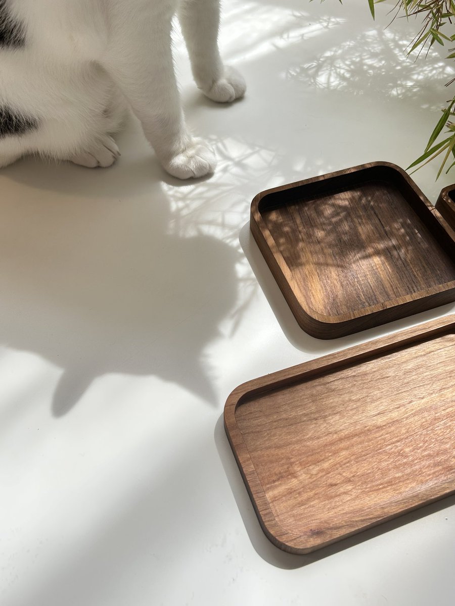 asrhmint's tweet image. เหมียวพร้อมเสิร์ฟ 🐼〰️