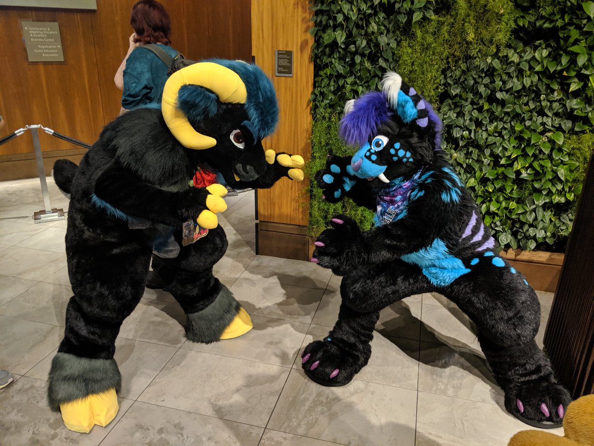 Equus Silvermane (@equussilvermane) on Twitter photo Who's going to win this epic Kaiju battle that took place <a href="/anthrocon/">Anthrocon, Inc.</a> 2019?
Check back tomorrow and find out. 😏 📹
#MacroMonday Who's going to win this epic Kaiju battle that took place <a href="/anthrocon/">Anthrocon, Inc.</a> 2019?
Check back tomorrow and find out. 😏 📹
#MacroMonday