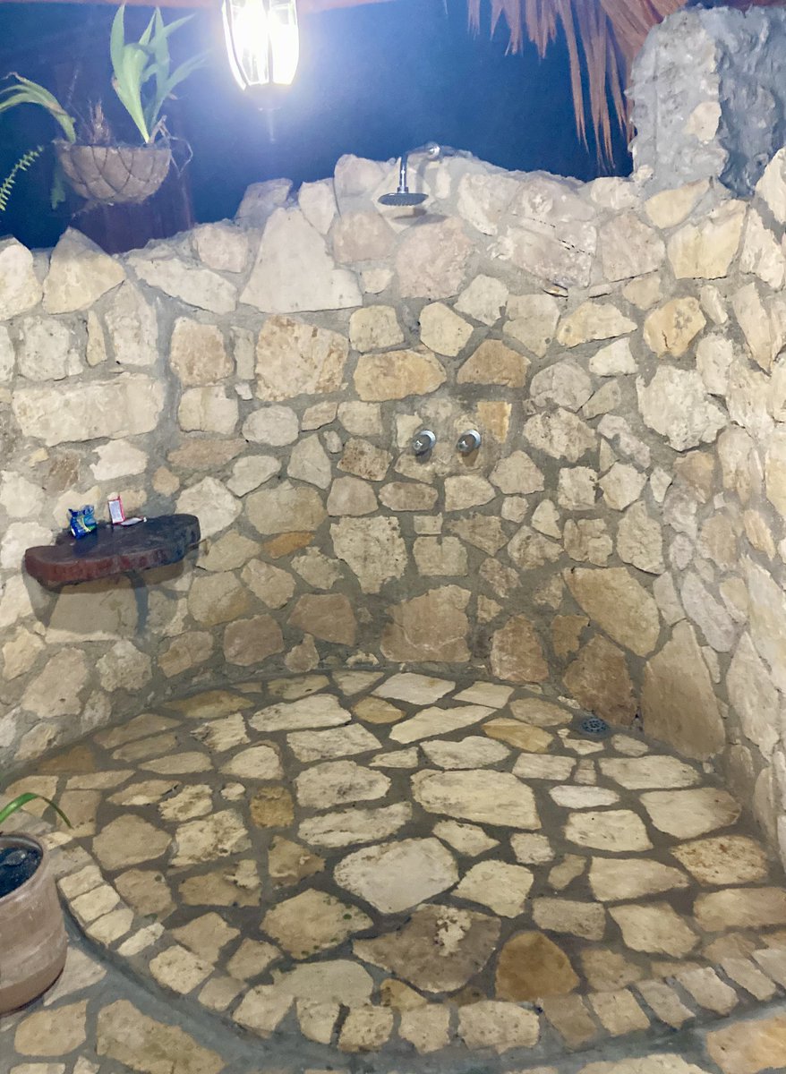 Exhib1675's tweet photo. Petit jeu.
Ceci est une douche à l’air libre en pleine forêt tropicale.
Qu’aimeriez-vous voir au premier plan?
J’essayerai de réaliser vos suggestions ;)
A vos bonnes idées. https://t.co/KccvM2rYWD