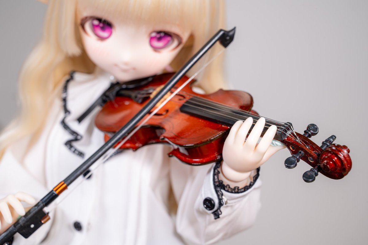 moekooli's tweet photo. #MDDはいいぞ 
#うちのこかわいい https://t.co/ETcK2YkrBx