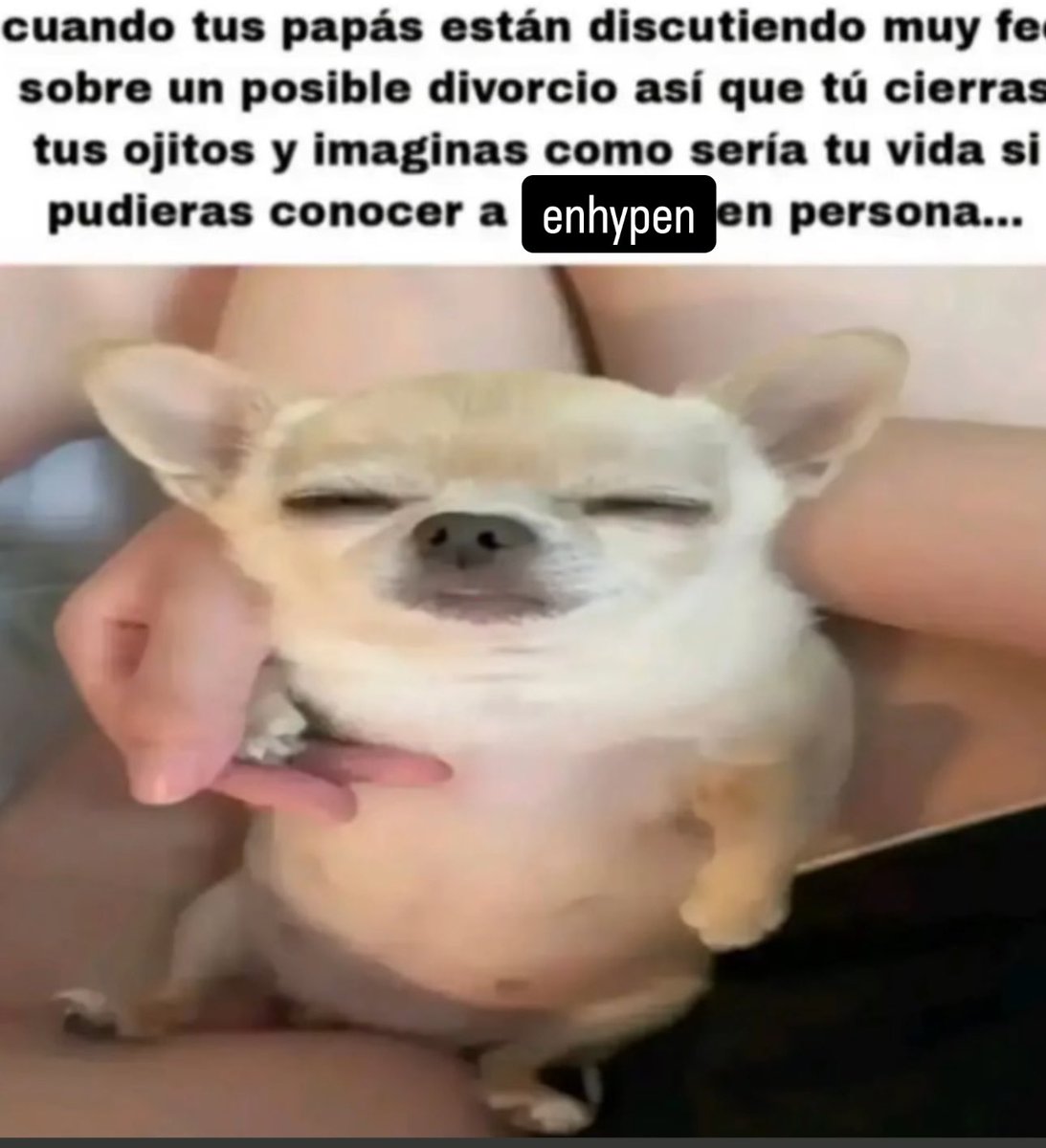 lovwbite's tweet image. 