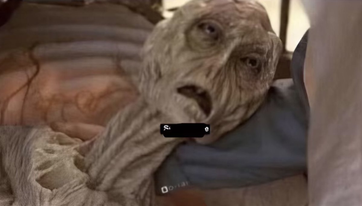 اقولك دوام رمضان خفيف