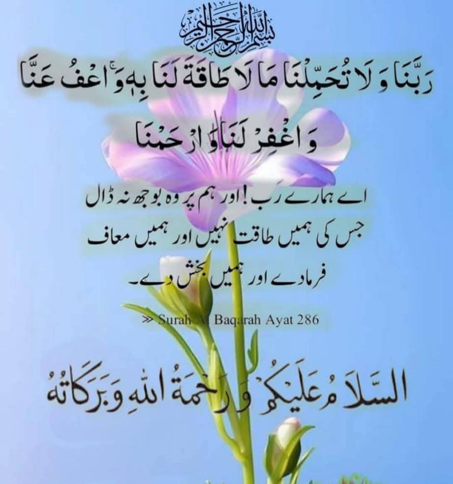 🤲آمین ثم آمین یا رب العالمین 🤲