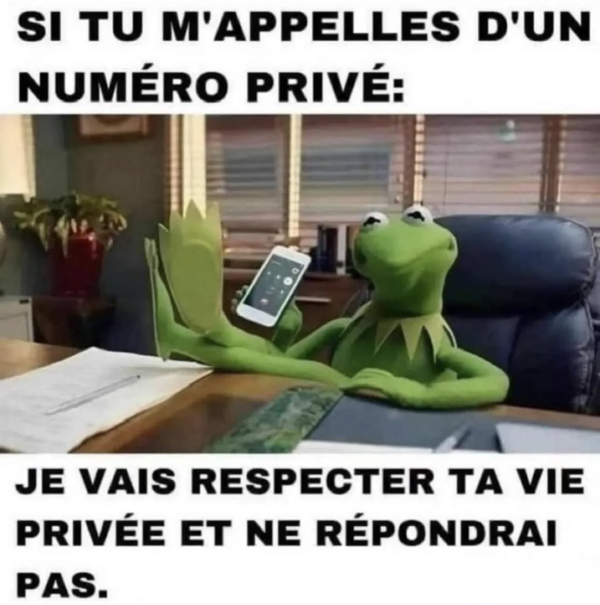 Chimo_Officiel's tweet photo. https://t.co/lygRORSL2Y