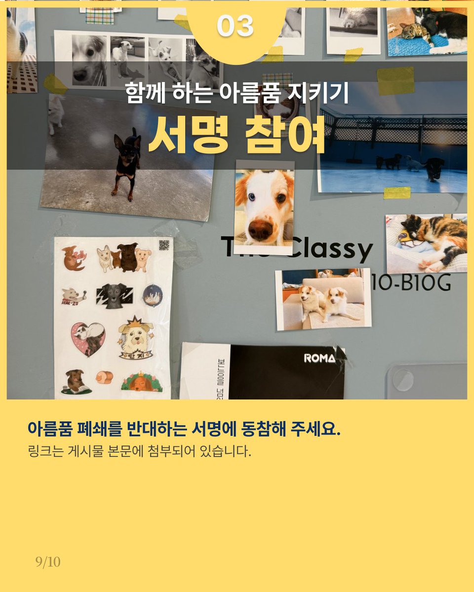 아름품을 함께 지켜주세요!
입양센터 ‘아름품’이 사라질 위기에 처했습니다.
2025년 3월 4일, 카라 사측이 단체의 전신이자 입양의 전진 기지라 불리던 아름품을 폐쇄하겠다고 밝혔습니다. 우리는 노조 탄압을 위해 아름품을 없애려는 사측의 결정을 강력히 규탄하며, 아름품을 지키기 위한 행동에