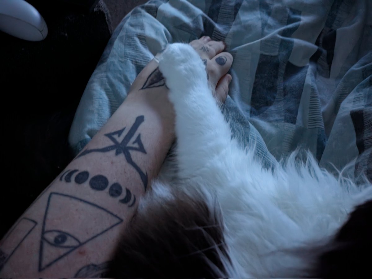 ALPstreams's tweet image. 