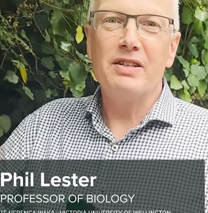 catraviolet's tweet image. guys you’ll never believe what my lecturers name is…