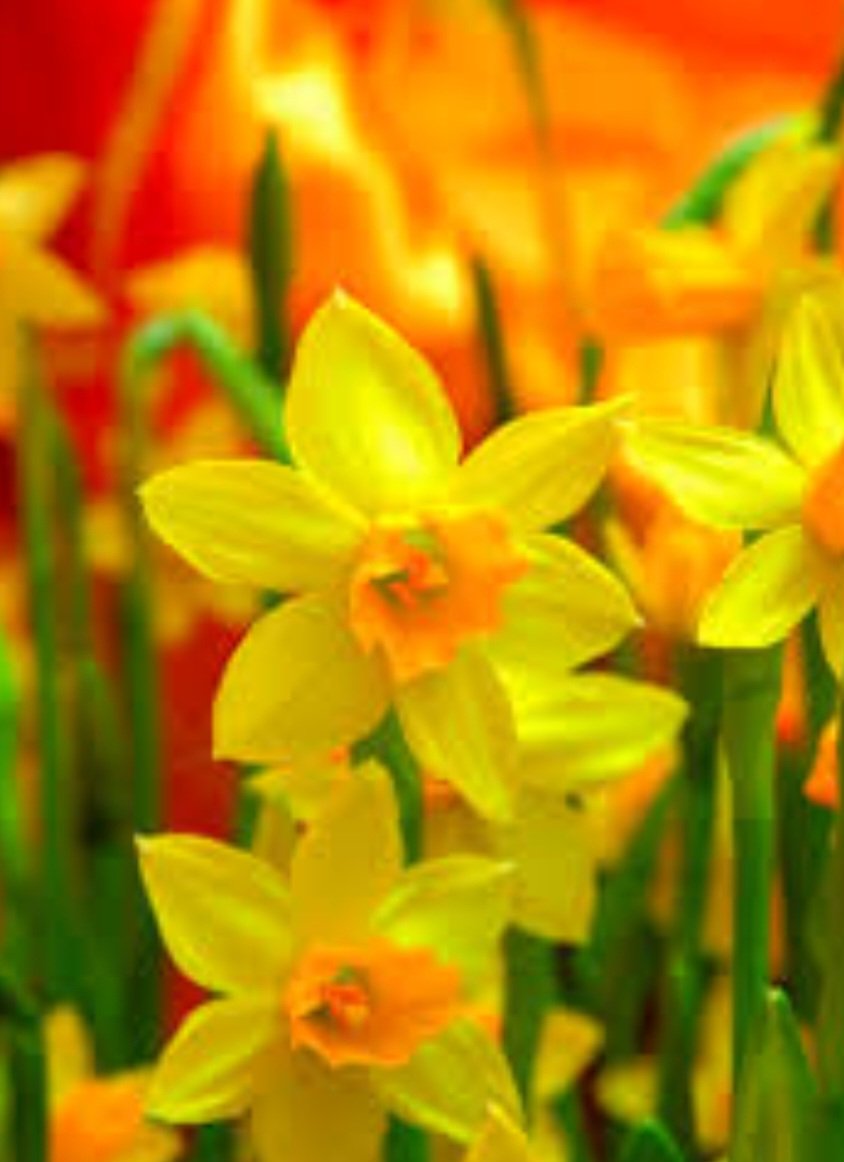 Guten Morgen ☕️🥳❤️
Eine Woche Sonne geschafft.
Nur noch heute.🥳
Dann verkrieche ich mich 3 Tage in meiner Wohnung, damit ich keine Menschen sehen muss.
Das ist mein Ausgleich und meine Erholung. 
Habt einen schönen Montag!!!☀️🥳