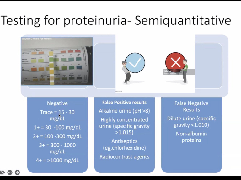 abdelhamed012's tweet image. Albuminurea x proteinurea ?!
