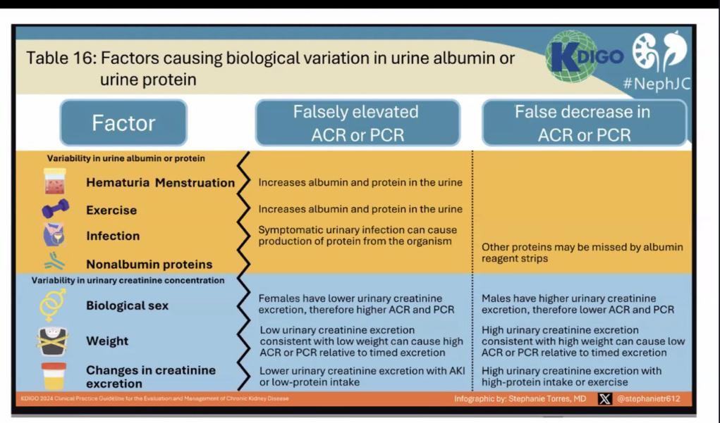 abdelhamed012's tweet image. Albuminurea x proteinurea ?!