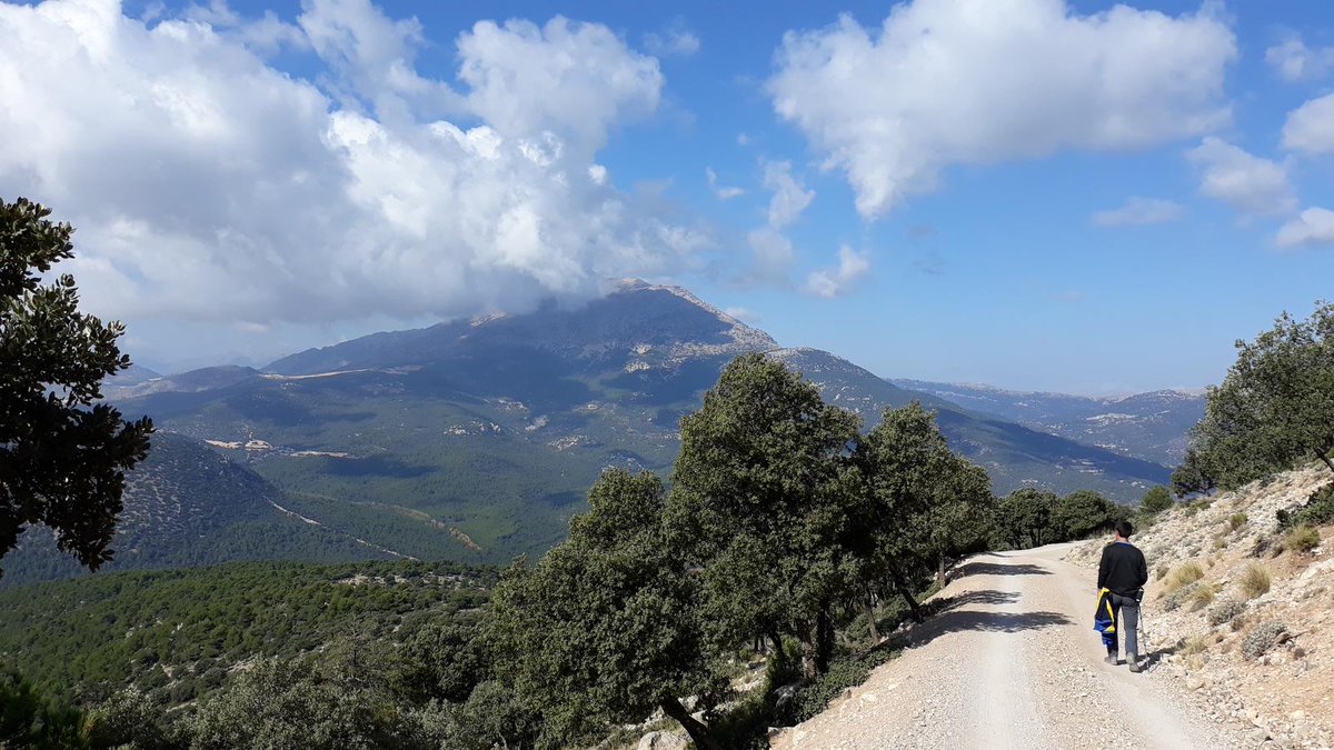 La_Carrasca's tweet image. 🏔️ Domingo 16/3: Ascenso al Calar de la Puebla (Puebla de Don Fadrique)
✅ 12 km | +600m ⛰️ | 4h (dificultad media - MIDE 3-2-3-3)
🚗 Salida 8:00h desde La Merced
👥 Coordina: Ginés e Isabel
📲lacarrascaorg.wordpress.com/2025/03/10/cal…
#Senderismo #Lorca #puebladedonfadrique #MontañaGranadina ️