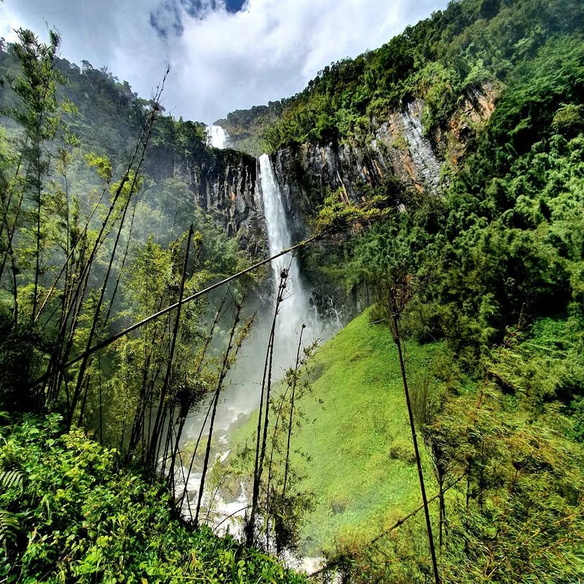 Tucked within the lush Aberdare ecosystem, #KaruruForest is a haven of biodiversity and home to Kenya’s tallest waterfall, #KaruruFalls (273m). A vital habitat for elephants, colobus monkeys &amp; rare birds, it plays a key role in water conservation &amp; climate regulation.