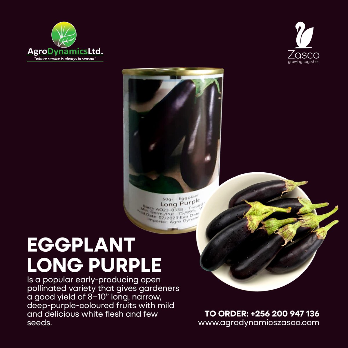 agrodynamicsltd's tweet photo. Long Purple Eggplant – Big Yields, Bold Flavor!
Vigorous and high yielding eggplant
Yields 8-10 fruits per plant.
Maturity is 70-85 days

Get yours today! #AgroDynamics #GrowMore #EggplantSuccess https://t.co/7H1QOYVohL