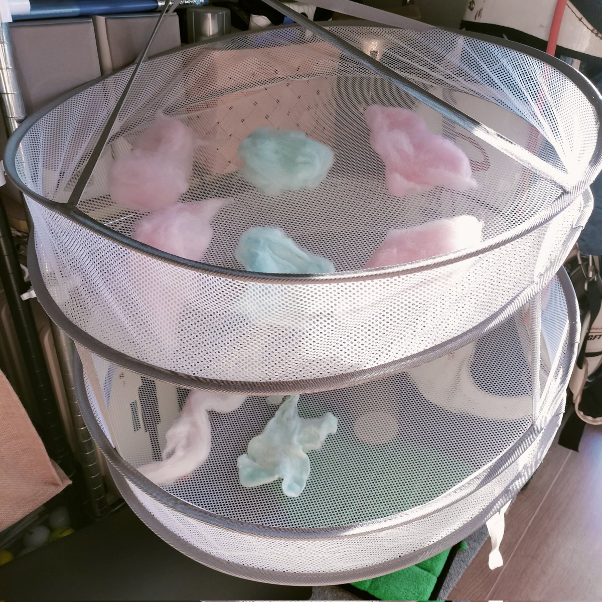 手染めしました。

染め粉の濃度による色の変化が知りたくて、12種類染めたかったんだけど、一度に8種類染めるのが限界でした🙈🍬

染めるって体力いりますね🙂‍↕️