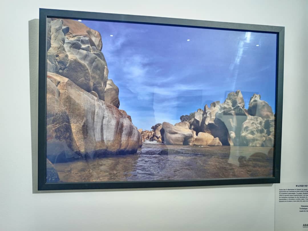 Bon début de semaine Kalarois, Kalaroises 😊
Dans le lundi actualités d'aujourd'hui, nous allons partager avec vous quelques photos du vernissage de Desy Danga qui a eu lieu samedi dernier à la Galerie Abali. L'exposition se poursuit jusqu'au 20 avril.