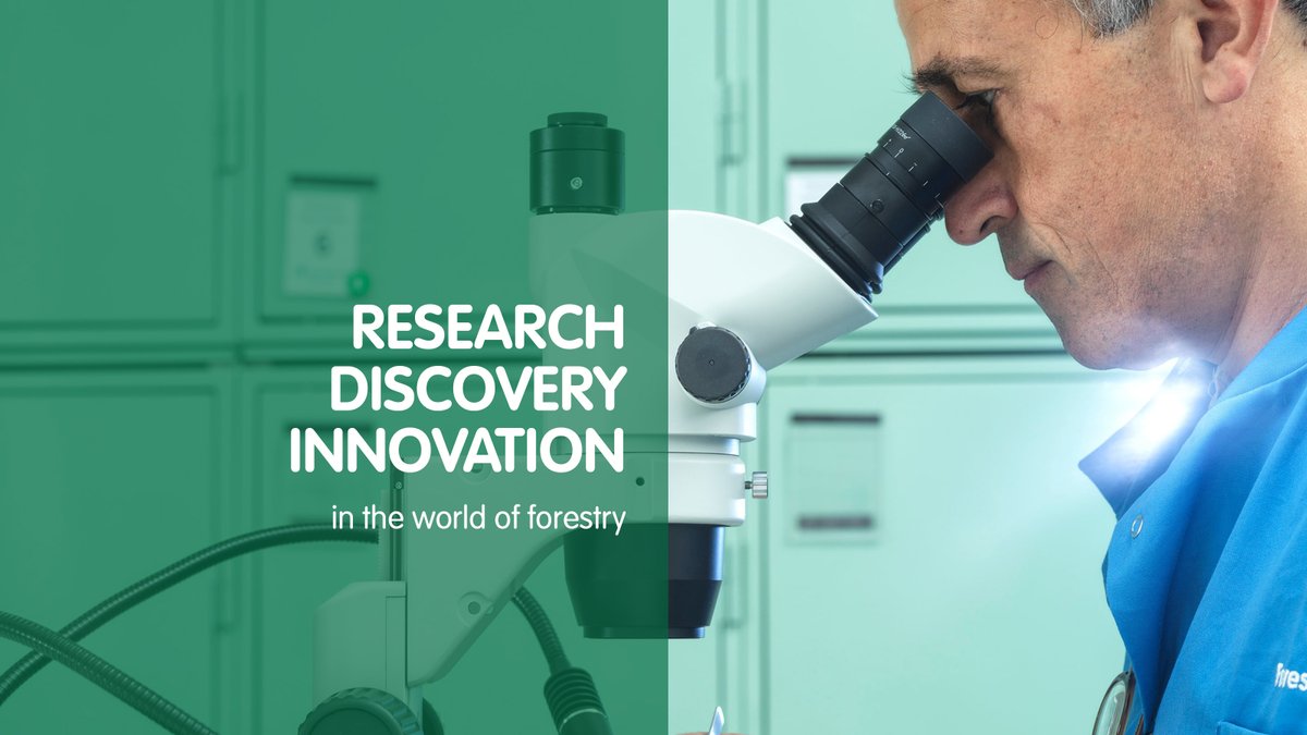 Forest Research (@forest_research) on Twitter photo ๐๐ฎ๐ซ๐ซ๐๐ง๐ญ ๐จ๐ฉ๐ฉ๐จ๐ซ๐ญ๐ฎ๐ง๐ข๐ญ๐ข๐๐ฌ ๐
Join the team at Forest Research - Great Britain's leading organisation for tree-related research.
๐ค๐ผ HR Services Team Leader
๐ข Internal Comms Manager
๐ฃ Programme Support & Comms Assistant
Apply now ๐ ow.ly/btRc50Va94r ๐๐ฎ๐ซ๐ซ๐๐ง๐ญ ๐จ๐ฉ๐ฉ๐จ๐ซ๐ญ๐ฎ๐ง๐ข๐ญ๐ข๐๐ฌ ๐
Join the team at Forest Research - Great Britain's leading organisation for tree-related research.
๐ค๐ผ HR Services Team Leader
๐ข Internal Comms Manager
๐ฃ Programme Support & Comms Assistant
Apply now ๐ ow.ly/btRc50Va94r