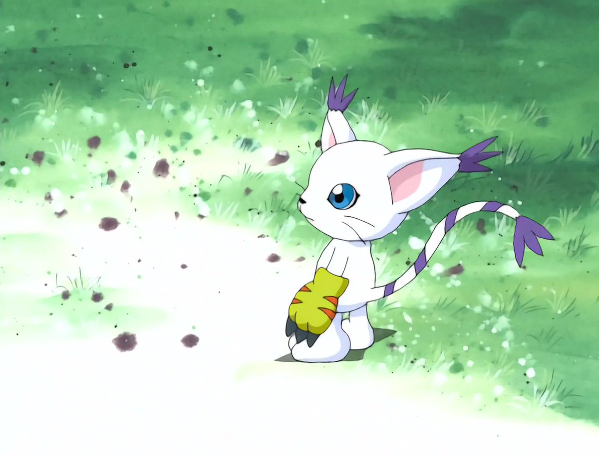 𝙳𝚒𝚐𝚒𝚖𝚘𝚗_𝙰𝚎𝚜𝚝𝚑𝚎𝚝𝚒𝚌𝚜 ✨ (@digiaesthetix) on Twitter photo 