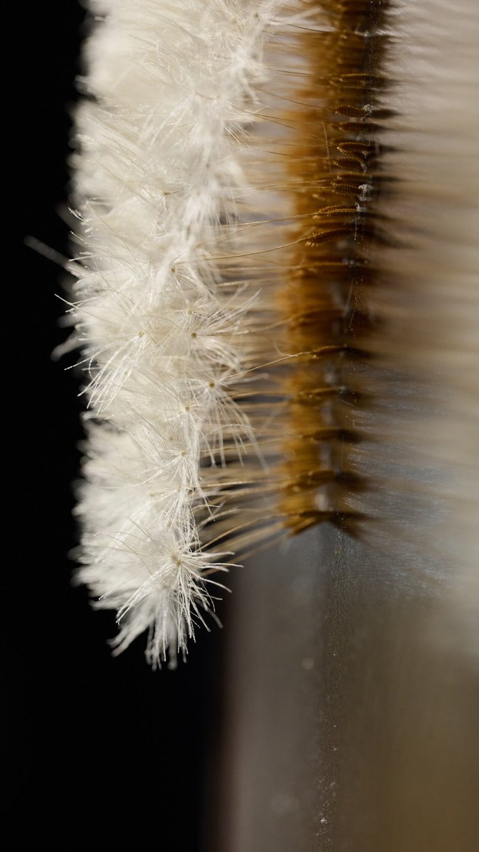 景色の息づかい