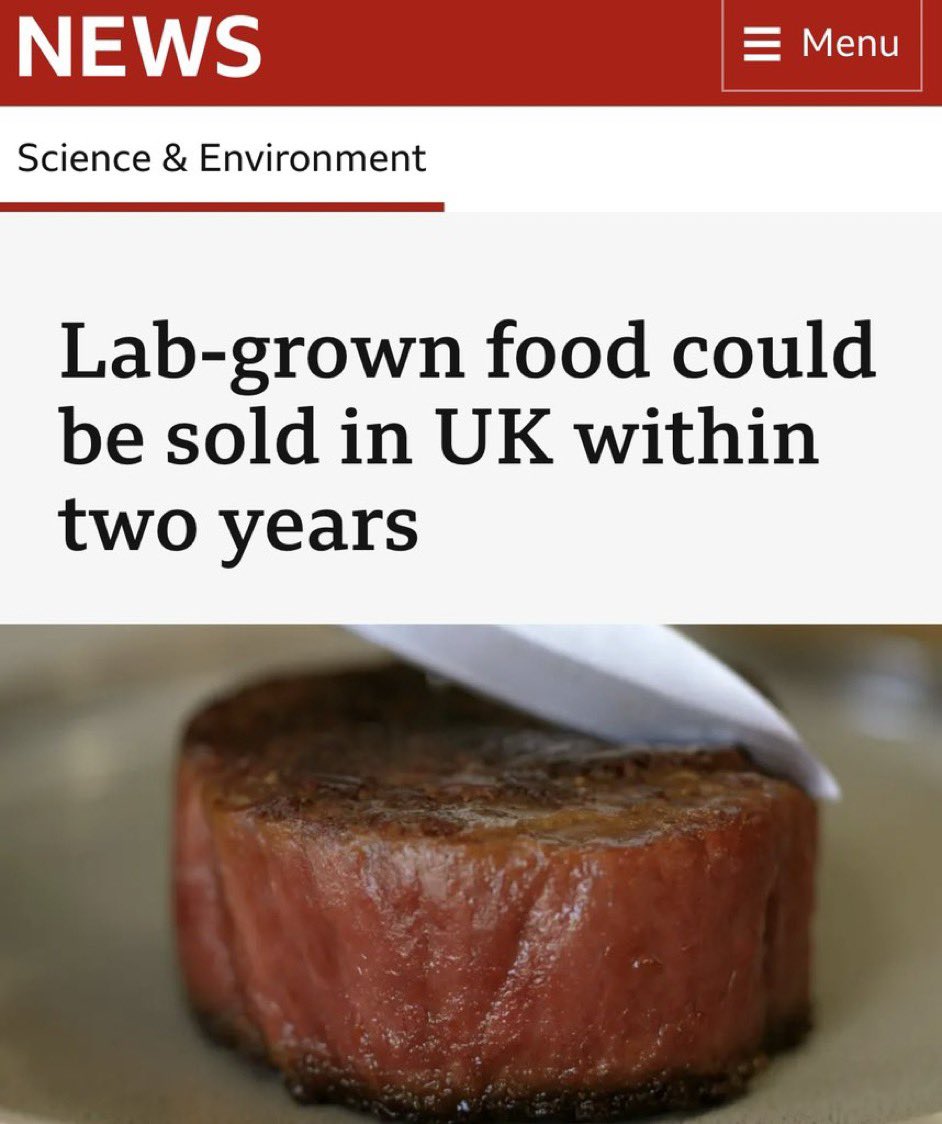 Lab-grown food could be sold in the UK within two years. This is wrong on many levels. Italy recently banned lab grown food to protect their farmers. The UK government should be doing the same.